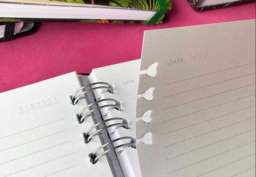Caderno Organizador da Cícero: Organização sem Limites