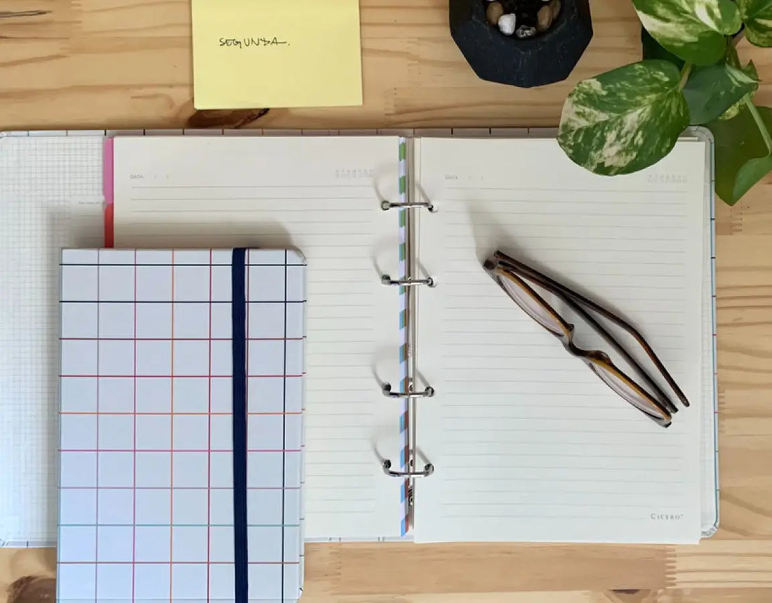 Como Organizar meu Home Office?