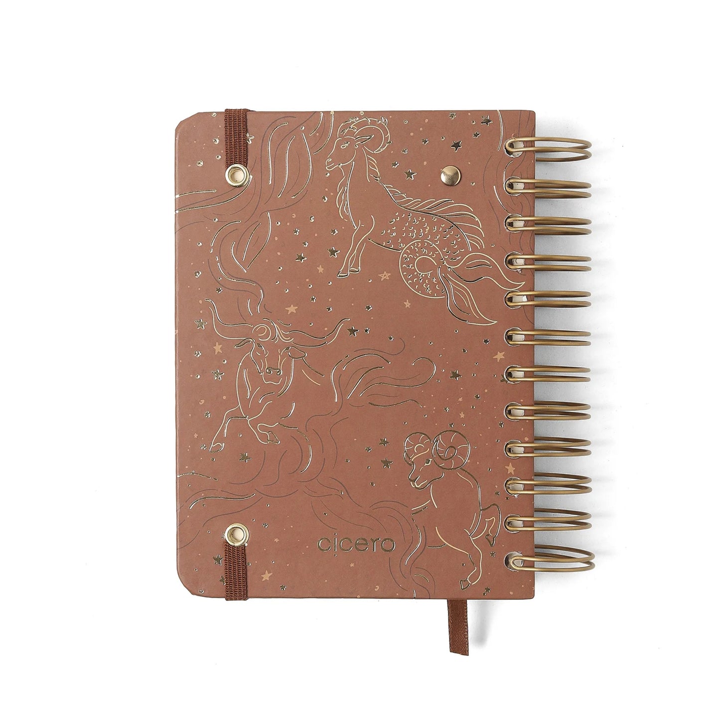 Agenda Planner Wire-o 2026 - Cícero - Origens - Diária 11,5x16 - Terra