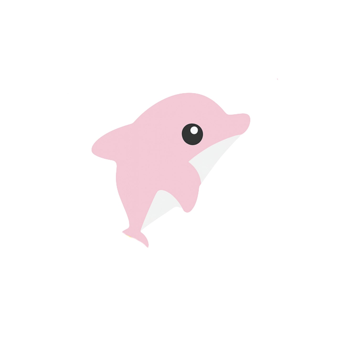 Borracha - Marine Life