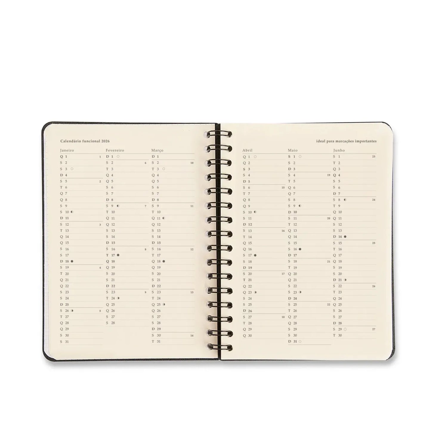 Agenda Planner Wire-o 2026 - Cicero - Origens - Diária A5 - Áqua Azul