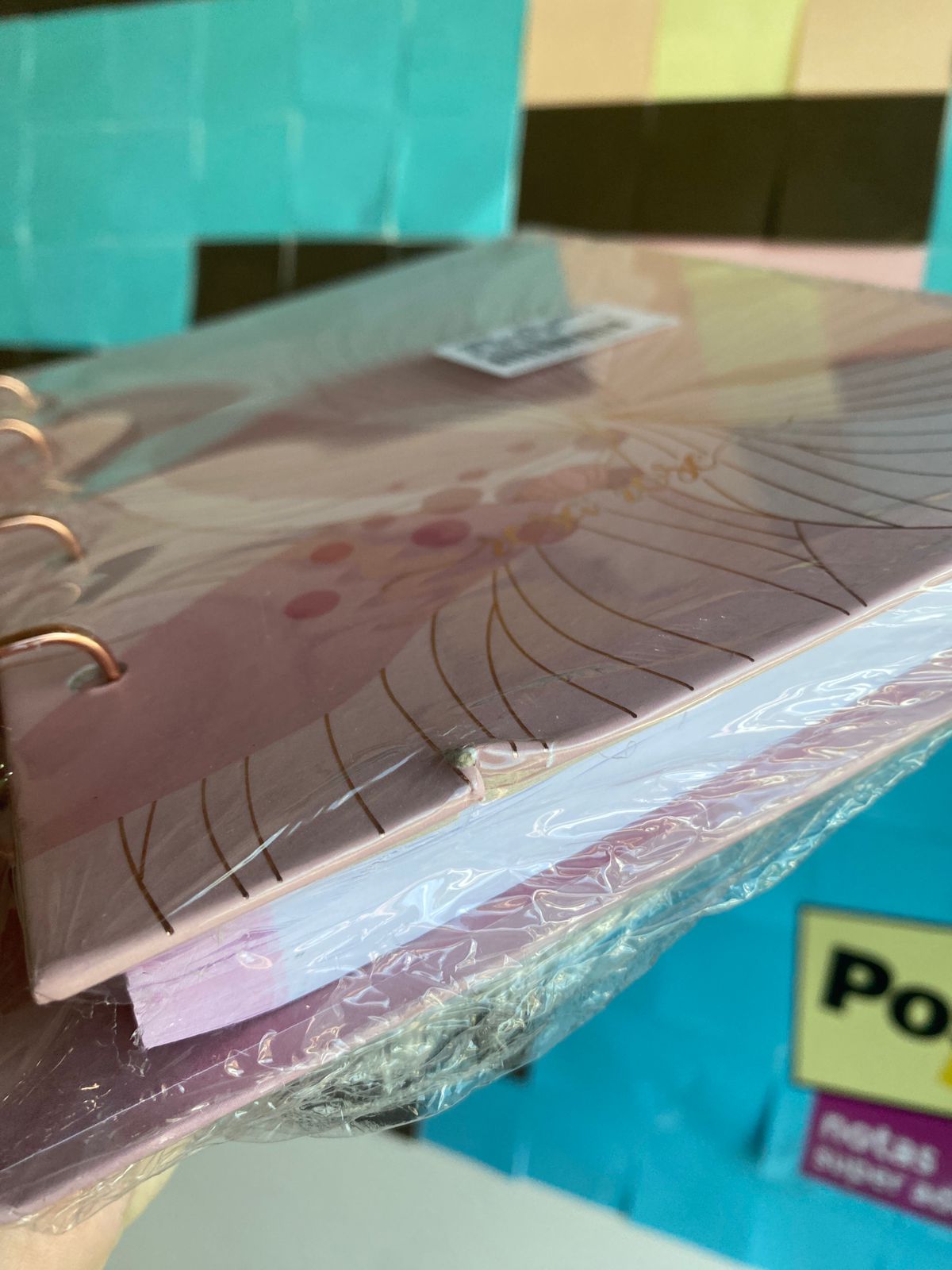 PEQUENO DEFEITO - Caderno Argolado Colegial - Animativa - Rosa Rose - 160 Folhas