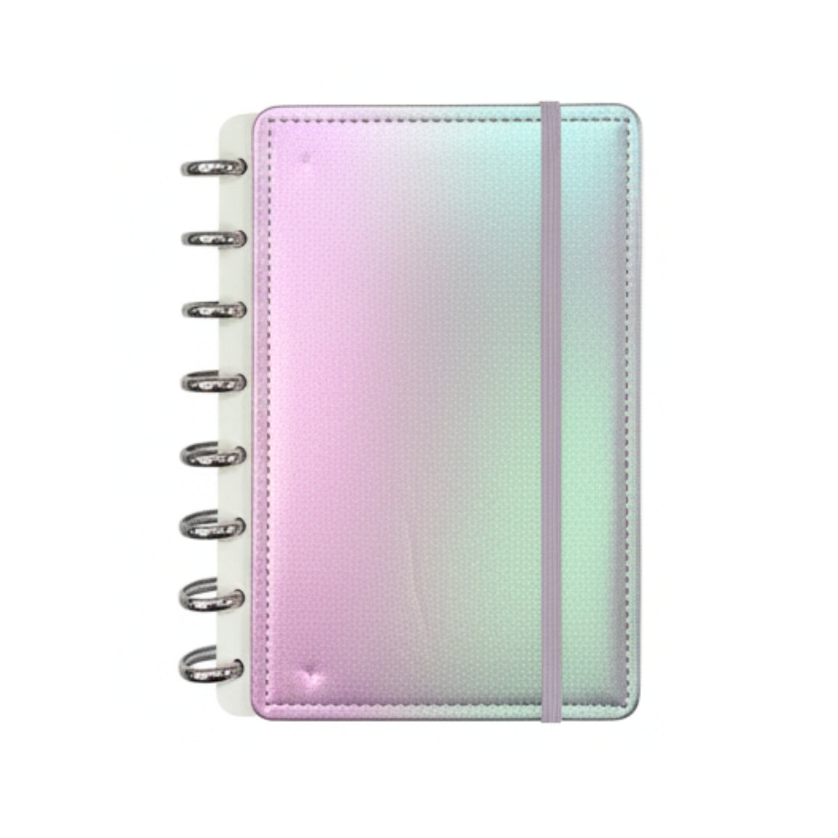 Caderno de Disco - Holográfico - 80 Fls - verso