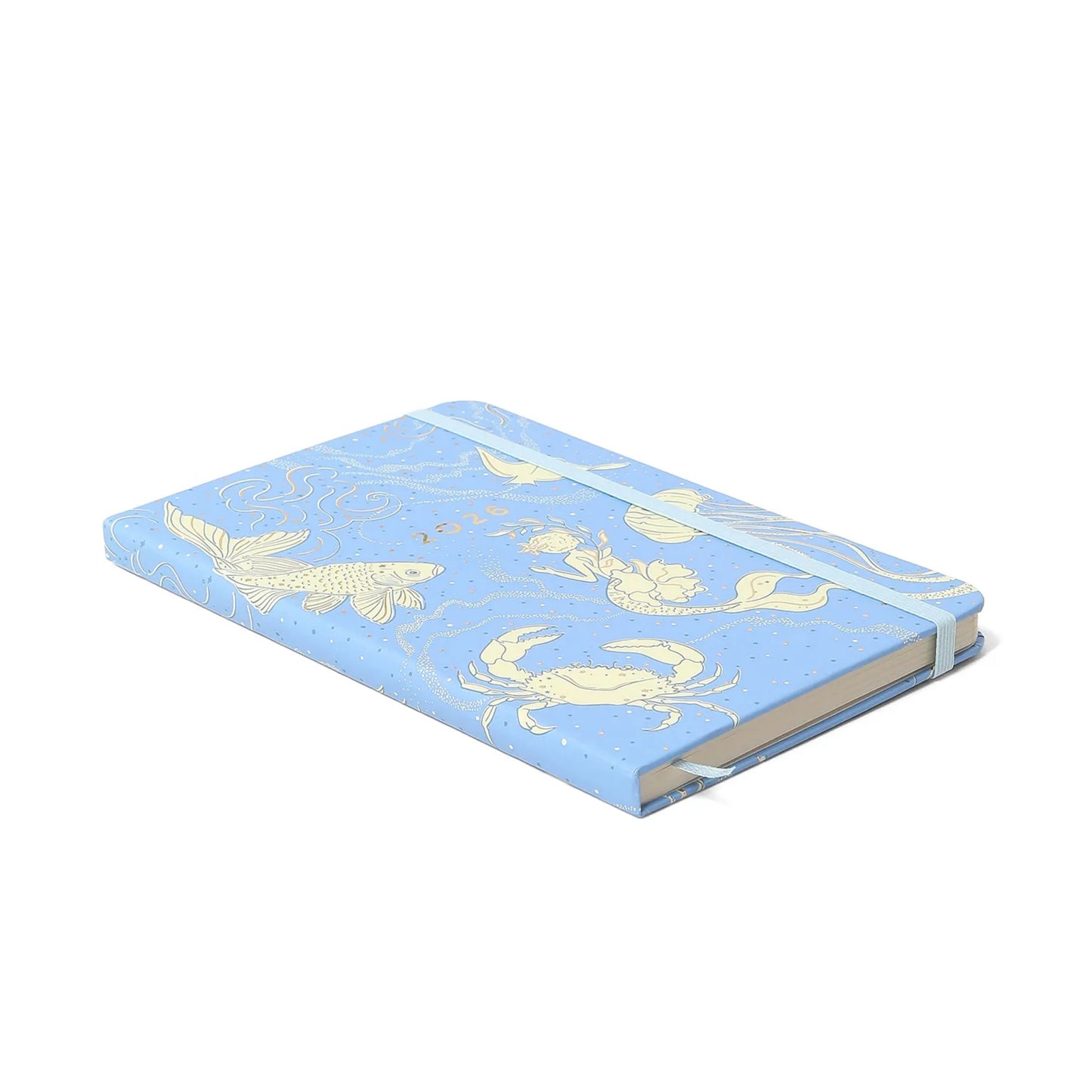 Planner 2026 - Cícero - Origens - Semanal 14x21 - Áqua Azul