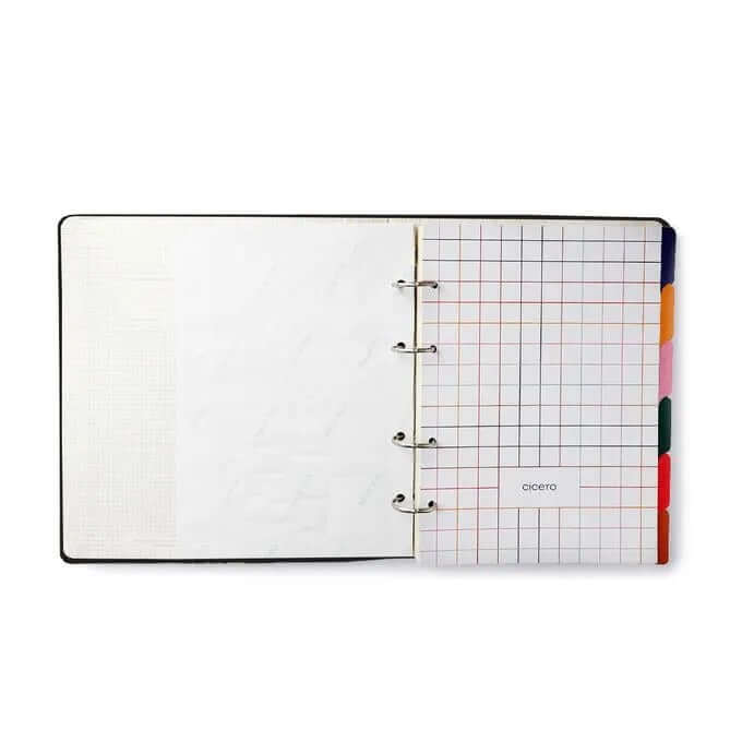 Caderno Criativo Argolado - Cícero - Bossa Nova Pautado 17x24cm Boemia