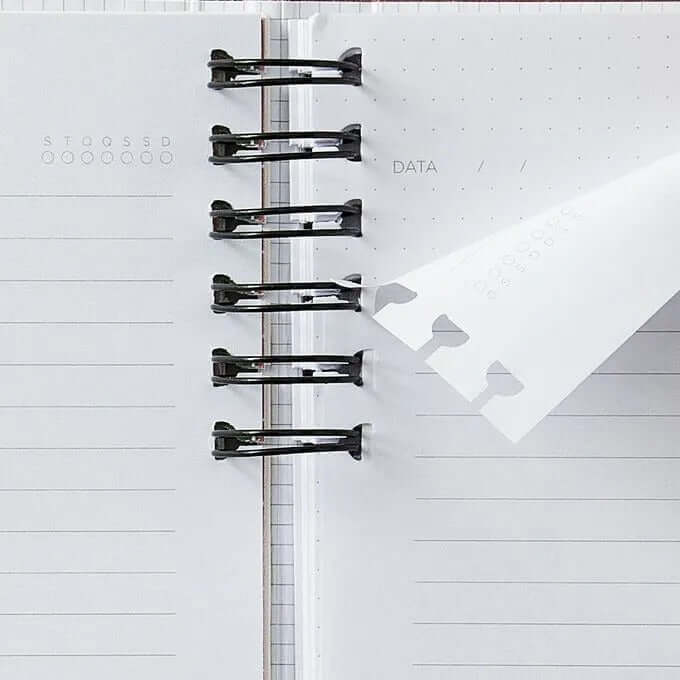 Caderno Organizador 17x24 - Cícero - Bossa Nova Duo Pautado & Pontado Cadência