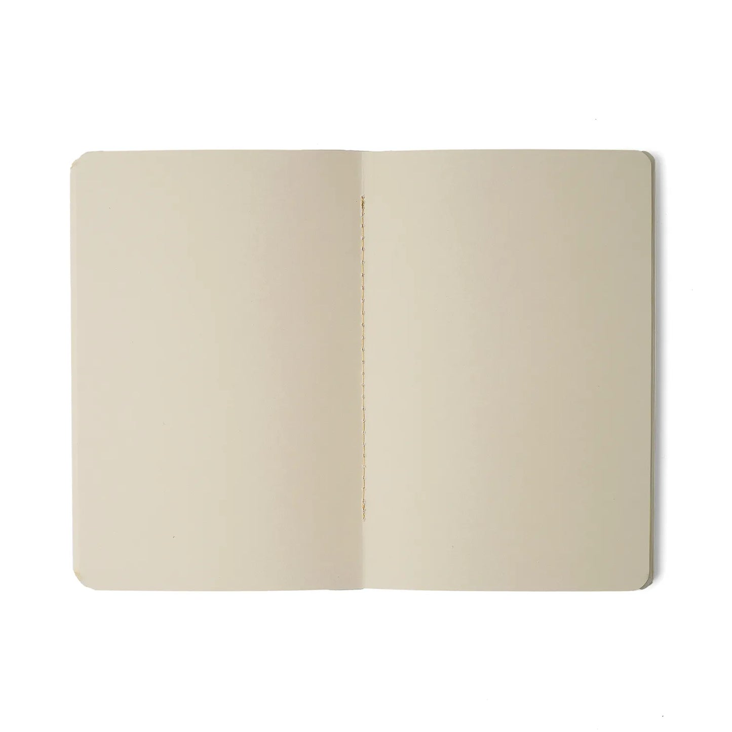 Kit Caderneta Revista - Cicero - Notas Mix Miolos Diferentes - 14x21 - Melissa