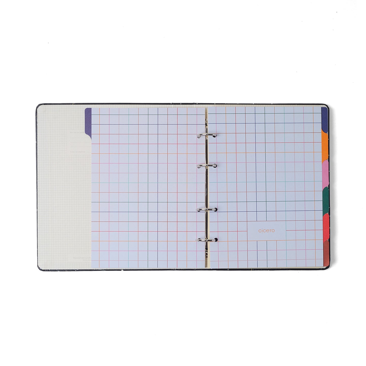 Caderno Criativo Argolado - Cícero - Praia Pautado 17x24 Cachorros