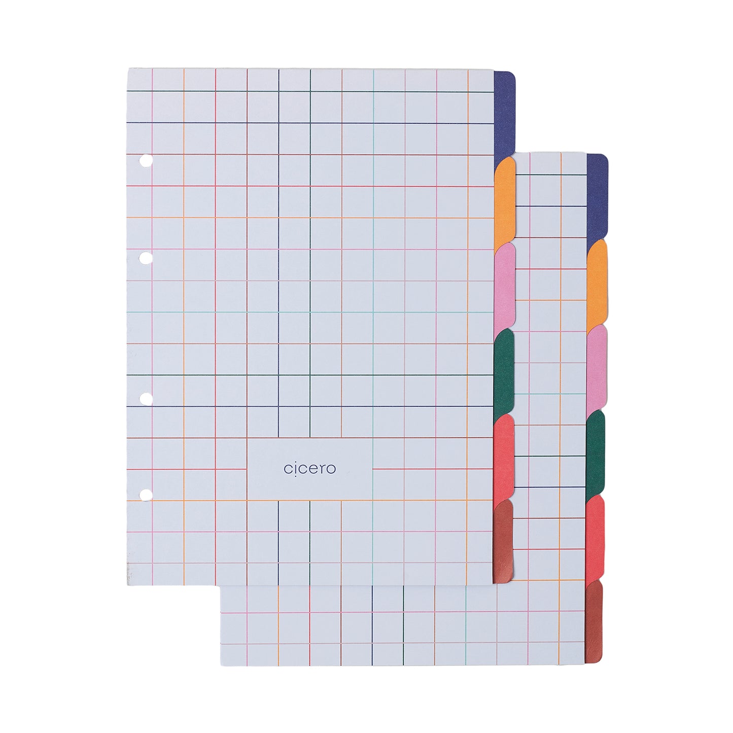 Caderno Criativo Argolado - Cícero - Praia Pautado 17x24 Cachorros