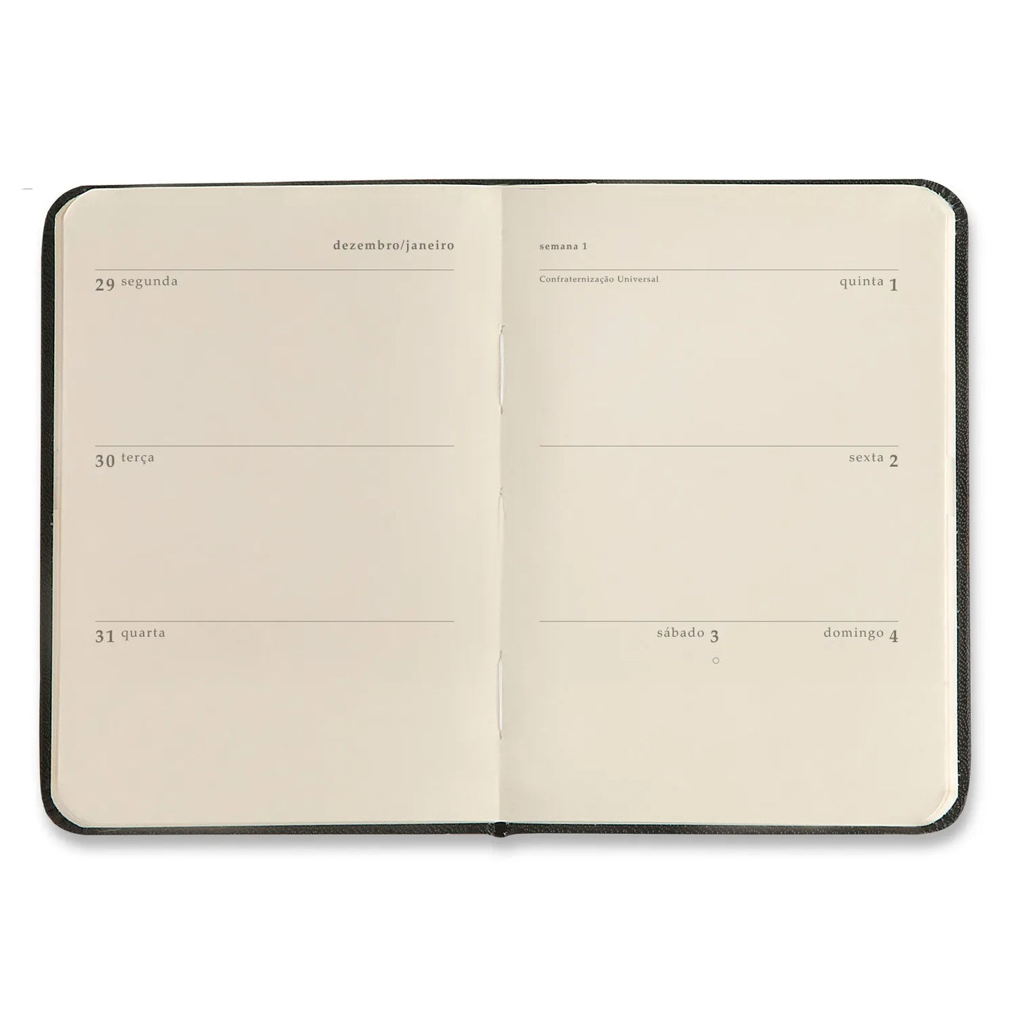 Planner 2026 - Cícero -Praia - Semanal 9x13 - Cachorros