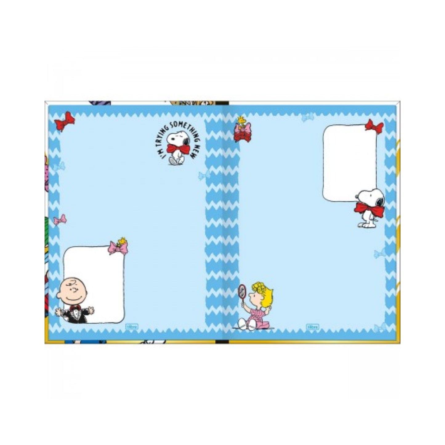 Caderno Colegial - Tilibra - Snoopy - Nova Coleção - 80 Folhas - Capa Dura