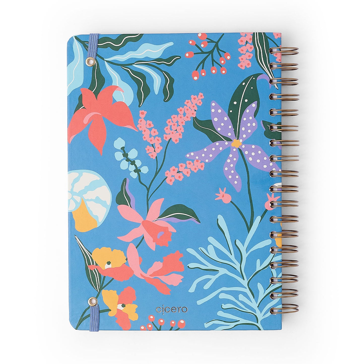 Caderno Espiral - Cícero - Noronha Baia do Sancho - Pautado 17x24 10 Matérias 160 Fls - imagem 9