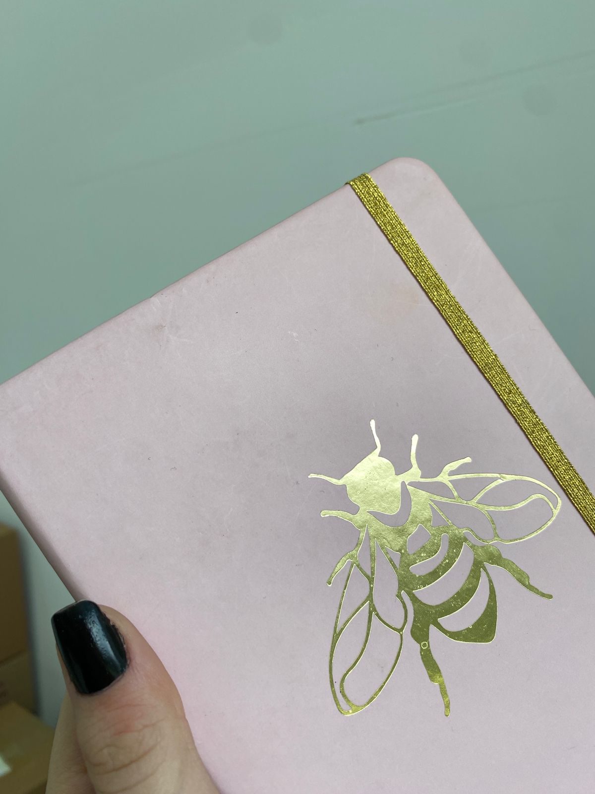 PEQUENO DEFEITO - Caderneta Sem Pauta 14x21 - Cícero - Melissa Abelha Rainha