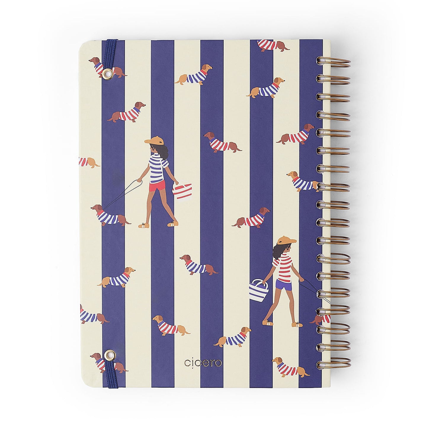 Caderno Espiral - Cícero - Petit Passeio - Pautado 17x24 10 Matérias 160 Fls - imagem 9