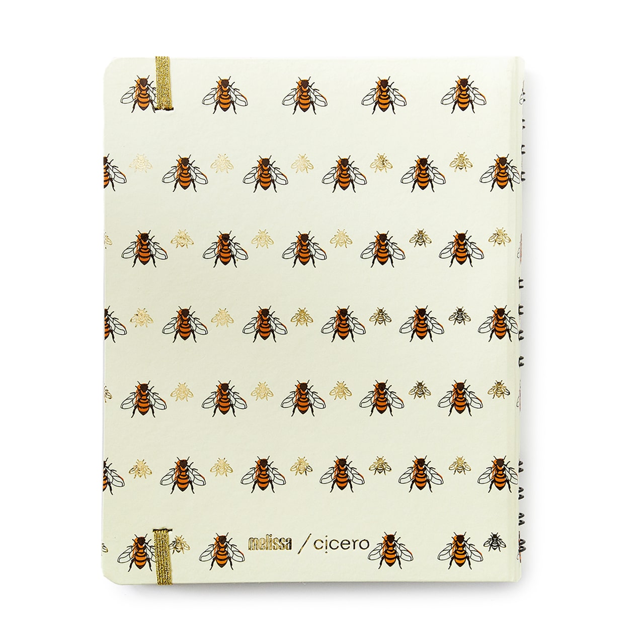 Caderno Organizador - Cícero - Duo Melissa Pautado & Pontado 17x24 Favo de Abelhas