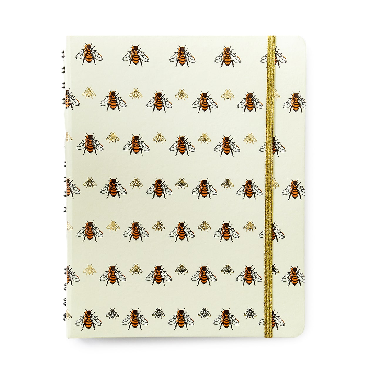 Caderno Organizador - Cícero - Duo Melissa Pautado & Pontado 17x24 Favo de Abelhas