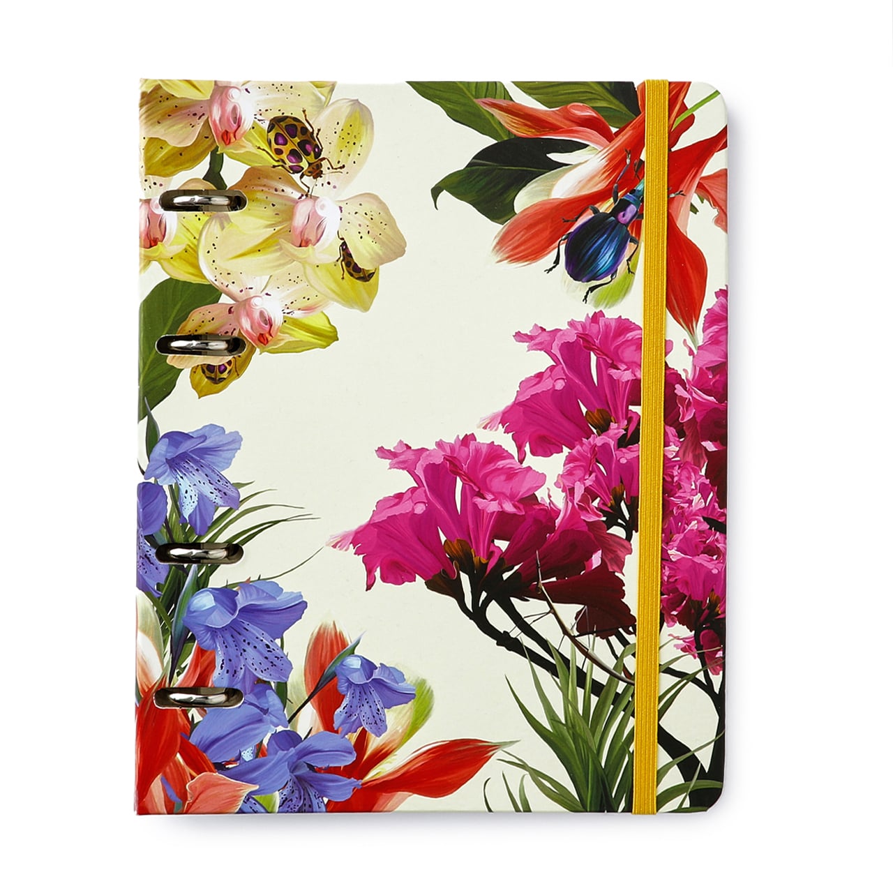 Caderno Criativo Argolado - Cícero - Office Duo Jóia Natural Pautado & Pontado A5 Insecta Dia