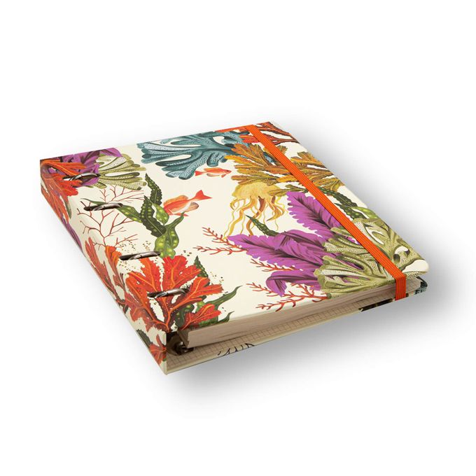 Caderno Criativo Argolado Office Duo - Cícero - Oceano Pautado e Pontado A5 Mergulho