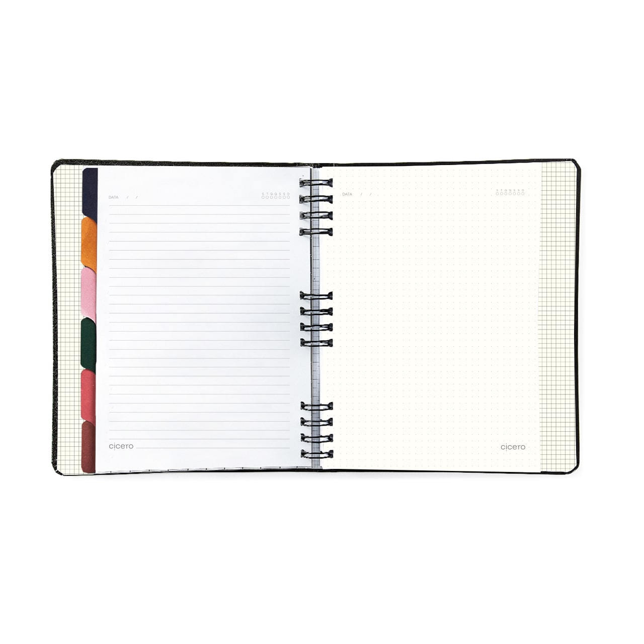 Caderno Organizador - Cícero - Duo Pastel Block Pautado & Pontado 17x24 Listras