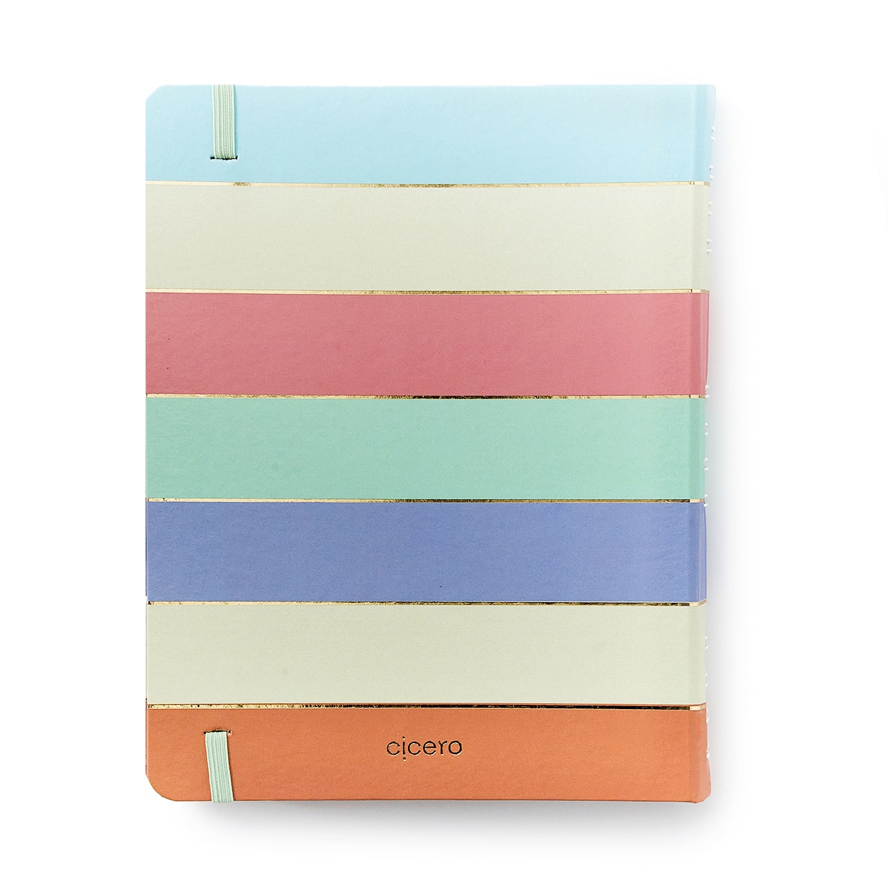 Caderno Organizador - Cícero - Duo Pastel Block Pautado & Pontado 17x24 Listras