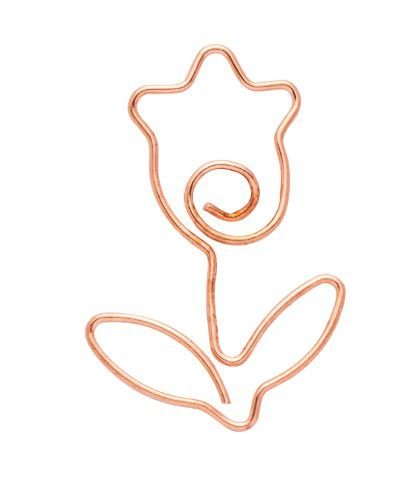 Clips Especial - Molin Love - Tulipa - 12 unidades