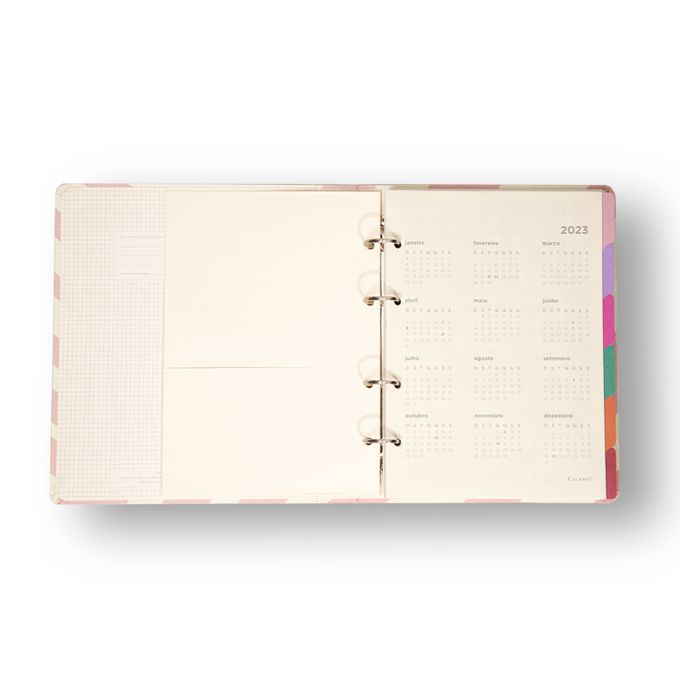 Caderno Criativo Argolado - Cícero - Melissa Pautado 17X24 Caminho Das Abelhas