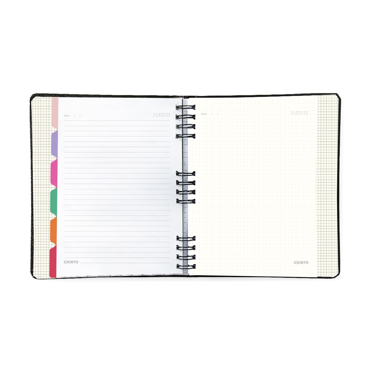 Caderno Organizador - Cícero - Duo Melissa Pautado & Pontado 17x24 Favo de Abelhas
