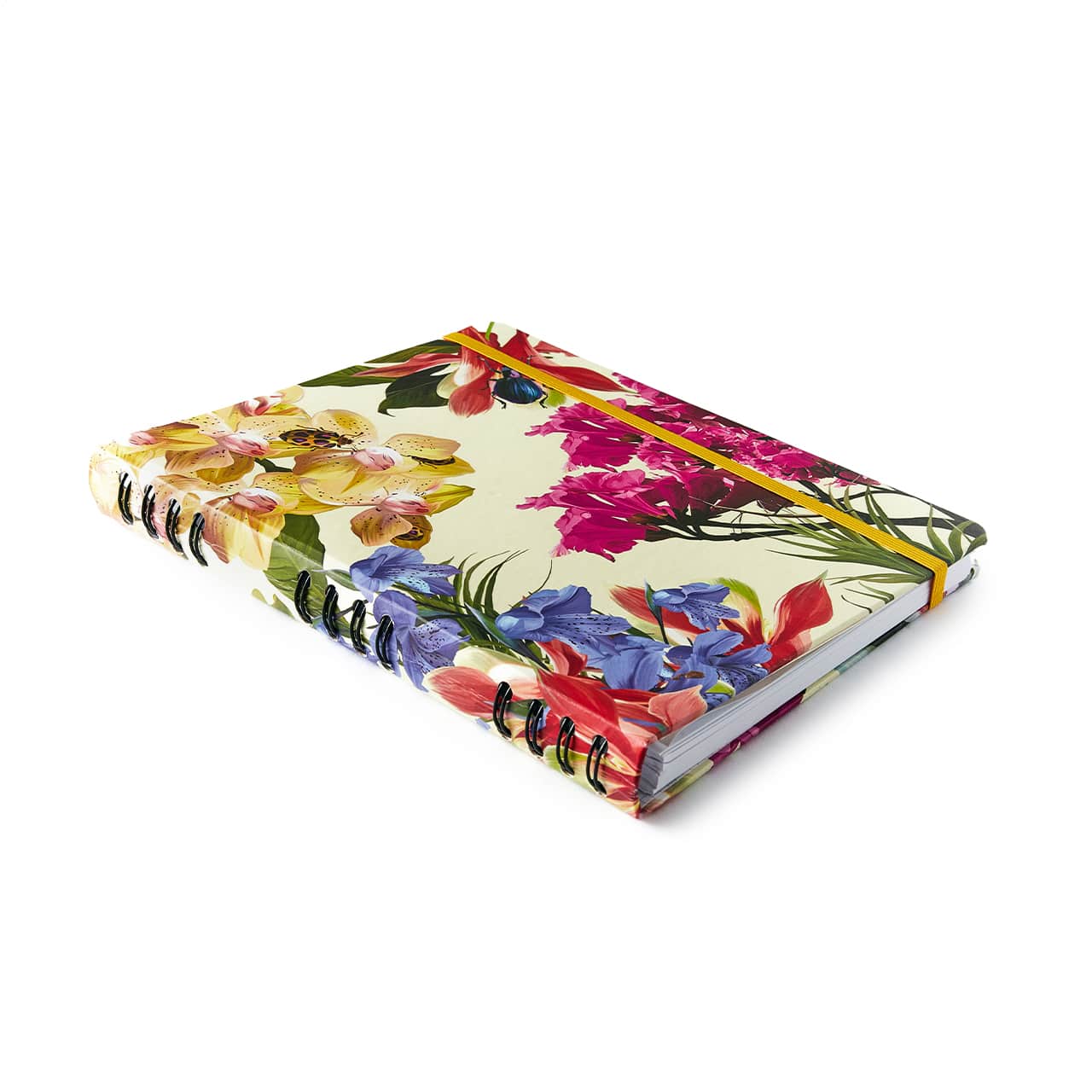 Caderno Organizador- Cícero- Jóia Natural Pautado 17x24 Insecta Dia