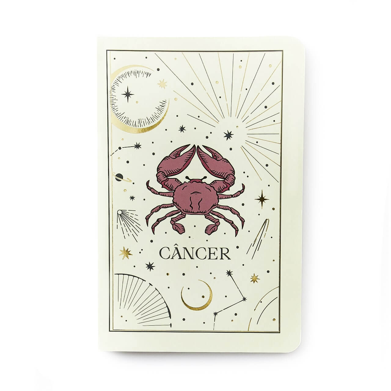 Caderneta Meu Pequeno Cícero - Cícero - Astral 14x21 Signos