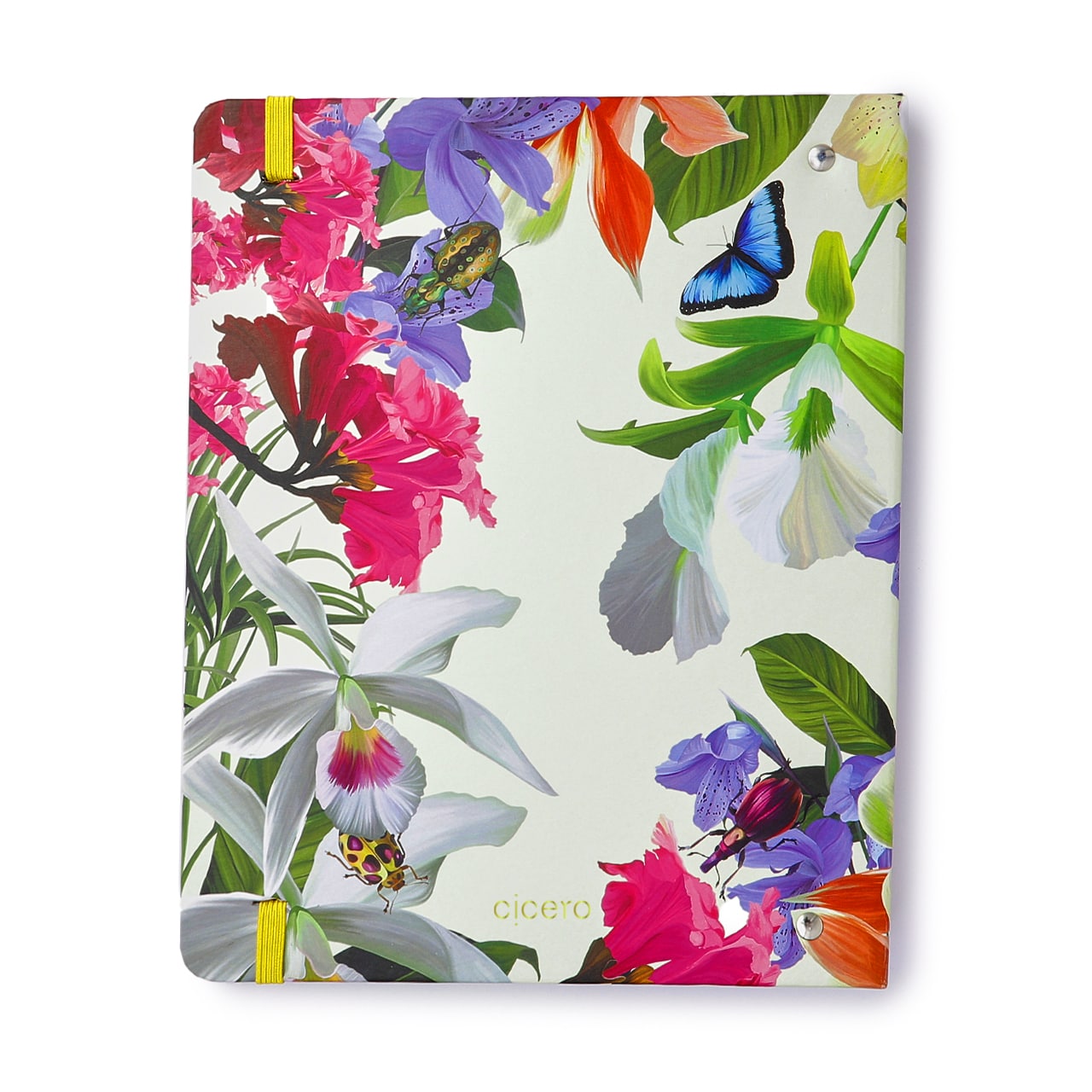 Caderno Criativo Argolado - Cícero - Office Duo Jóia Natural Pautado & Pontado A5 Insecta Dia