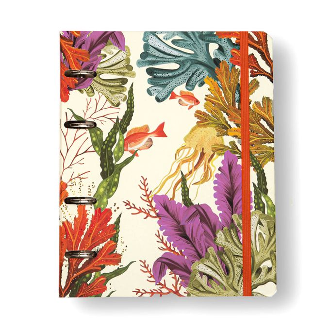 Caderno Criativo Argolado Office Duo - Cícero - Oceano Pautado e Pontado A5 Mergulho
