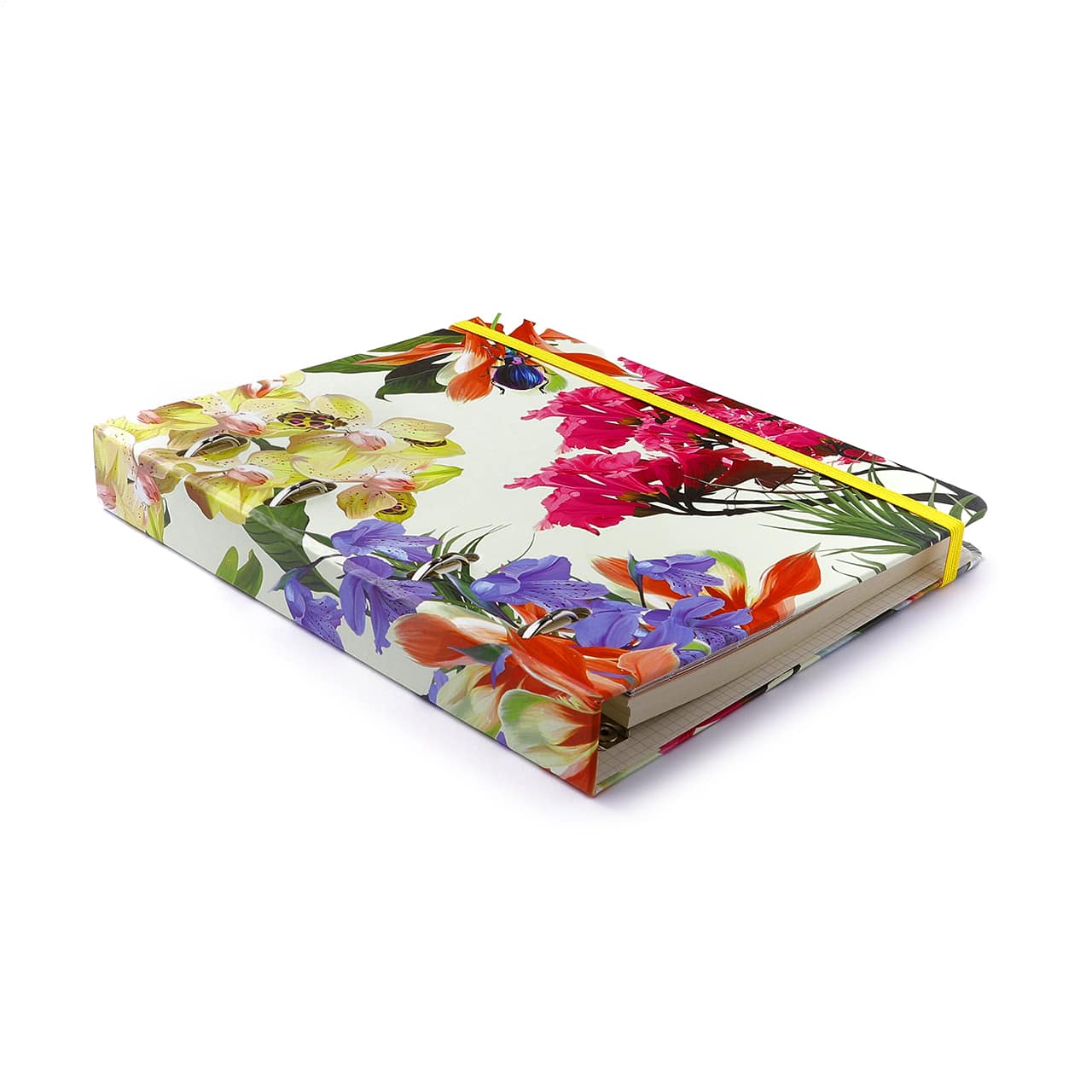 Caderno Criativo Argolado - Cícero - Office Duo Jóia Natural Pautado & Pontado A5 Insecta Dia