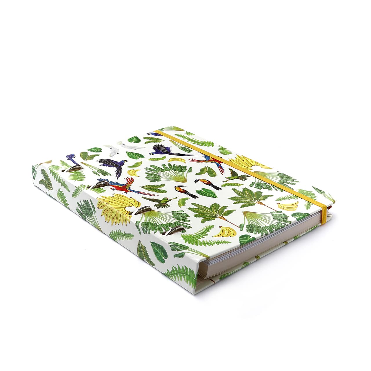 Caderno Criativo Argolado Pássaros Pautado 17x24 Floresta Tropical Branco