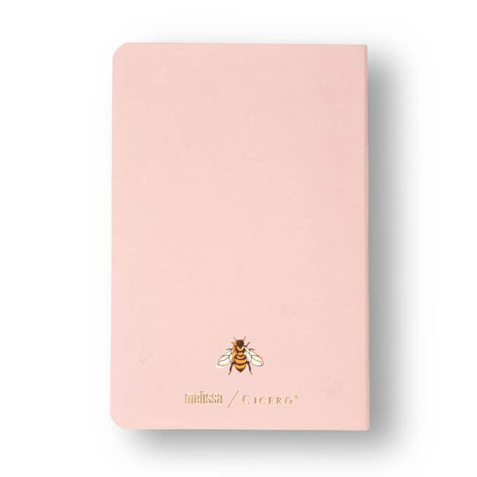 Caderneta Meu Pequeno Cícero - Cícero - Melissa Pautado 14X21 Abelha Rainha