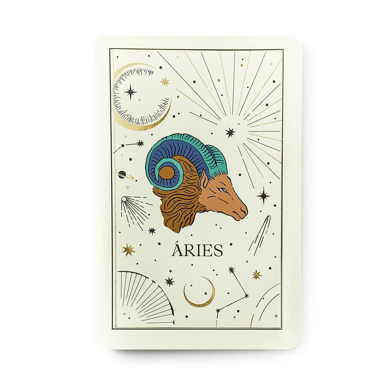 Caderneta Meu Pequeno Cícero - Cícero - Astral 14x21 Signos