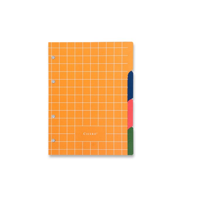 Caderno Criativo Office Argolado Pautado e Pontado - Cícero - A5 Onças Cereja