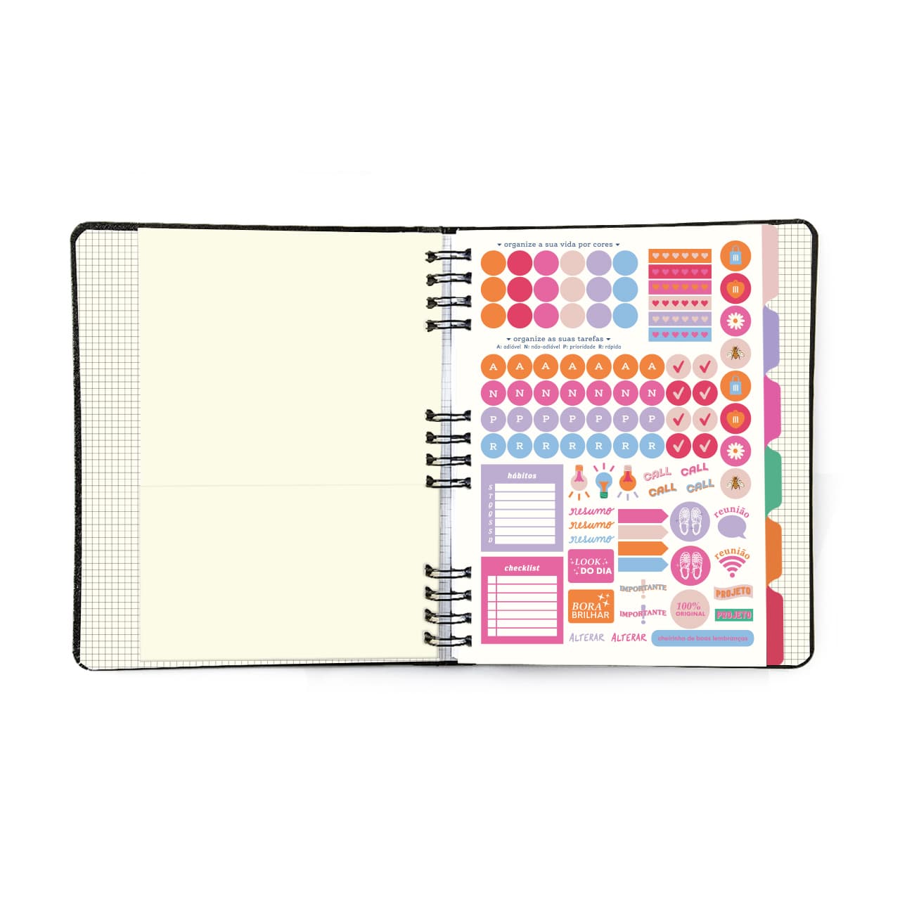 Caderno Organizador - Cícero - Duo Melissa Pautado & Pontado 17x24 Favo de Abelhas