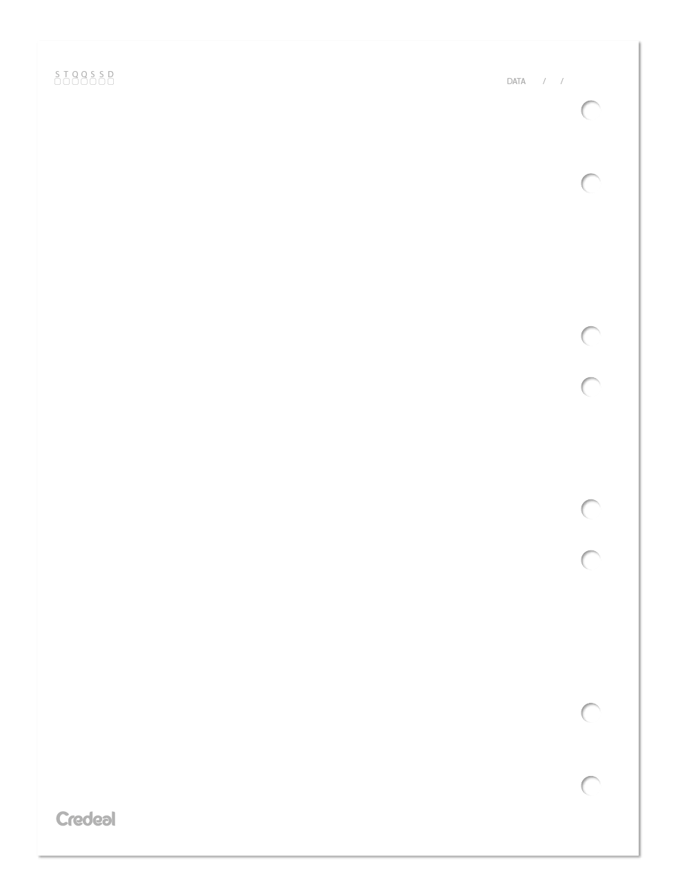 Refil Caderno Argolado - Credeal - Branco sem Pauta Colegial 40 Fl