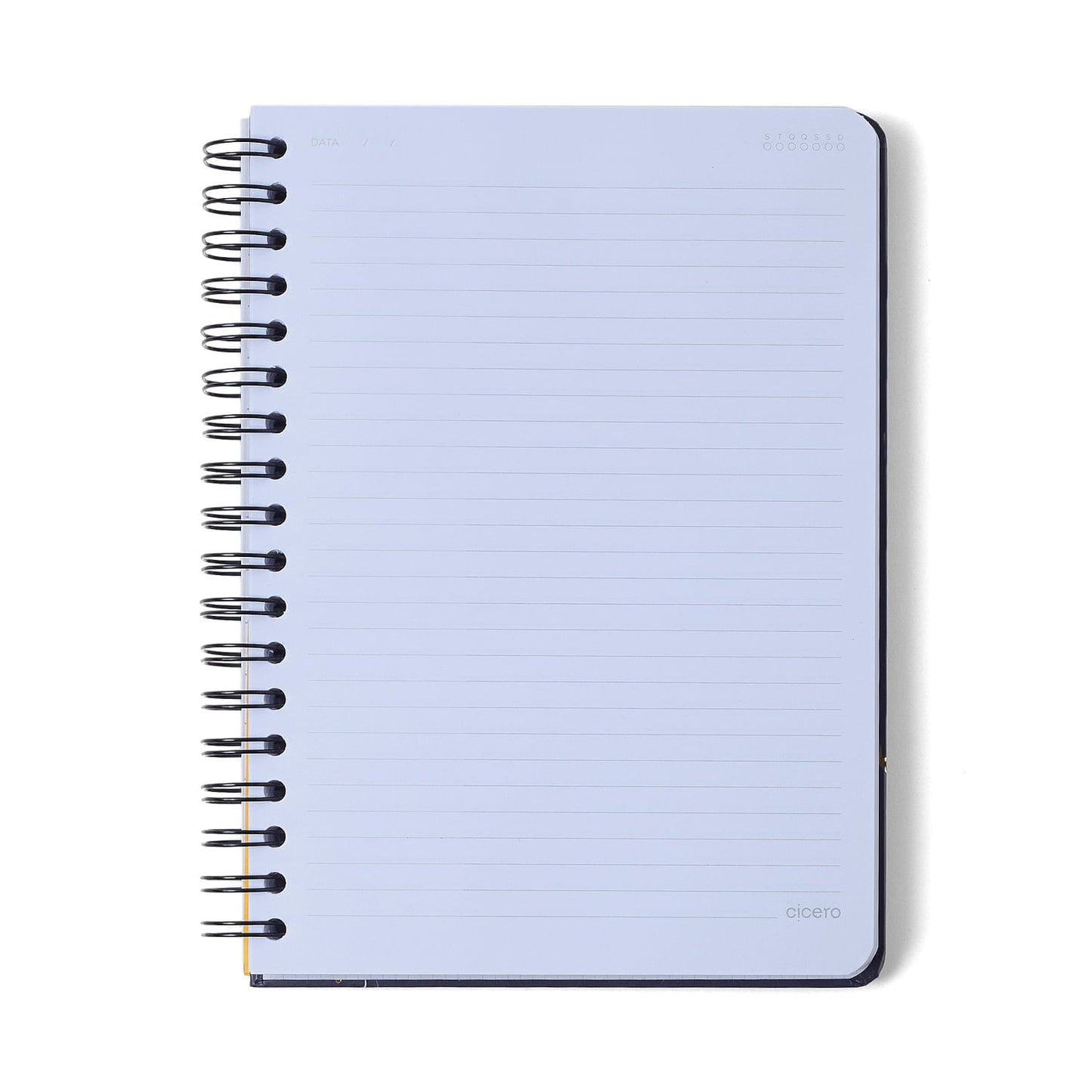 Caderno Espiral - Cícero - Veredas Gelo - Pautado 17x24 10 Matérias 160 Fls