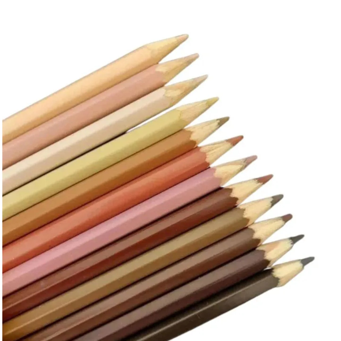 Lápis de Cor - Multi Color - Tons de Pele - 12 Cores