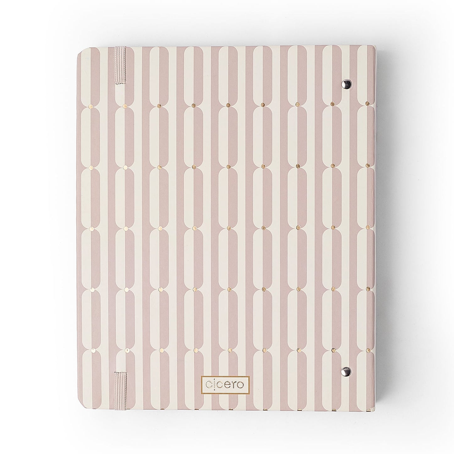 Caderno Criativo Argolado - Cícero - Veredas Gelo - Pautado 17x24