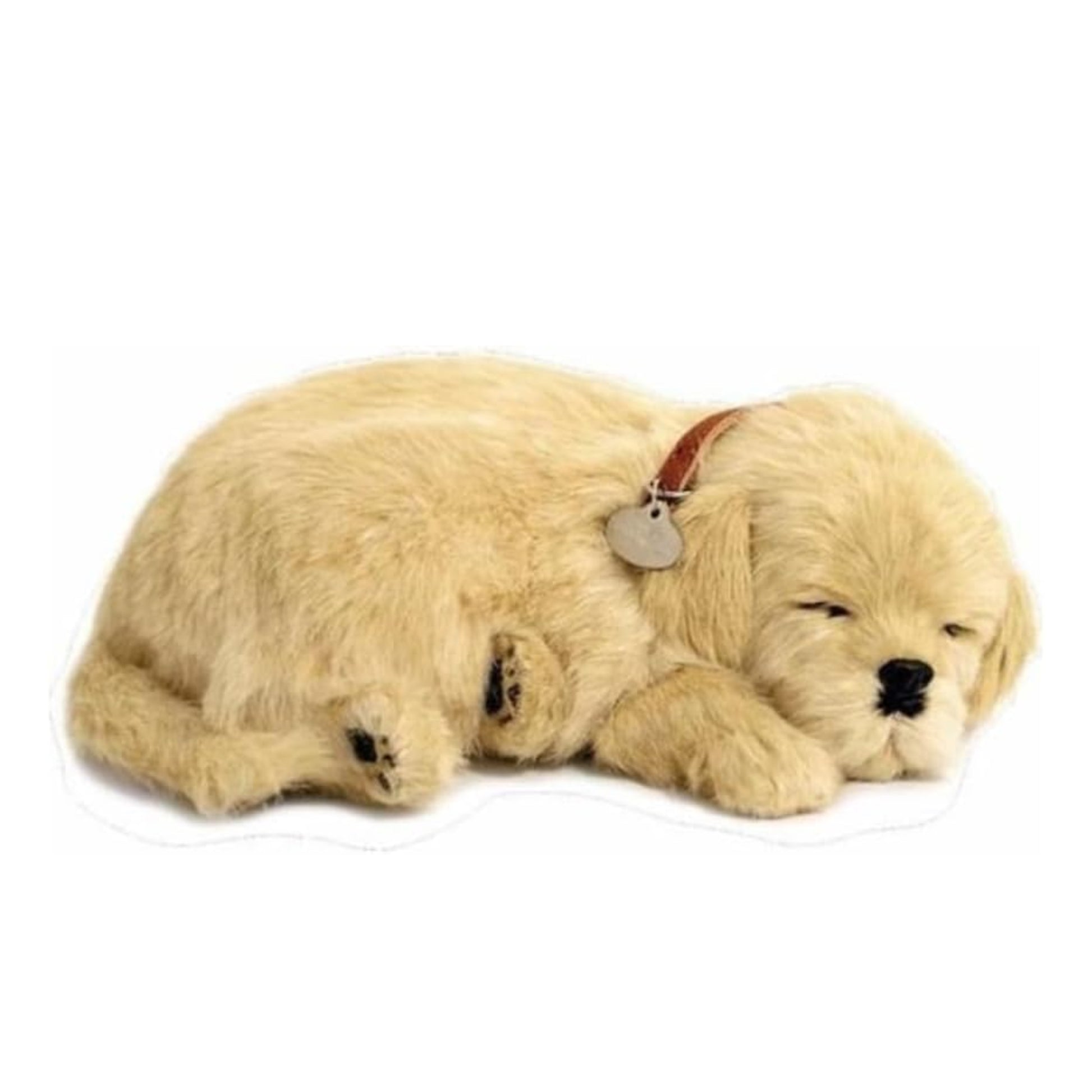 Pelúcia - Perfect Petzzz - Golden Retriever - detalhe