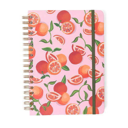 Caderno Espiral Colegial - Cícero -  Frutare - Pautado 17X24 - Pomelo - 10 Matérias 160 Fls - frente