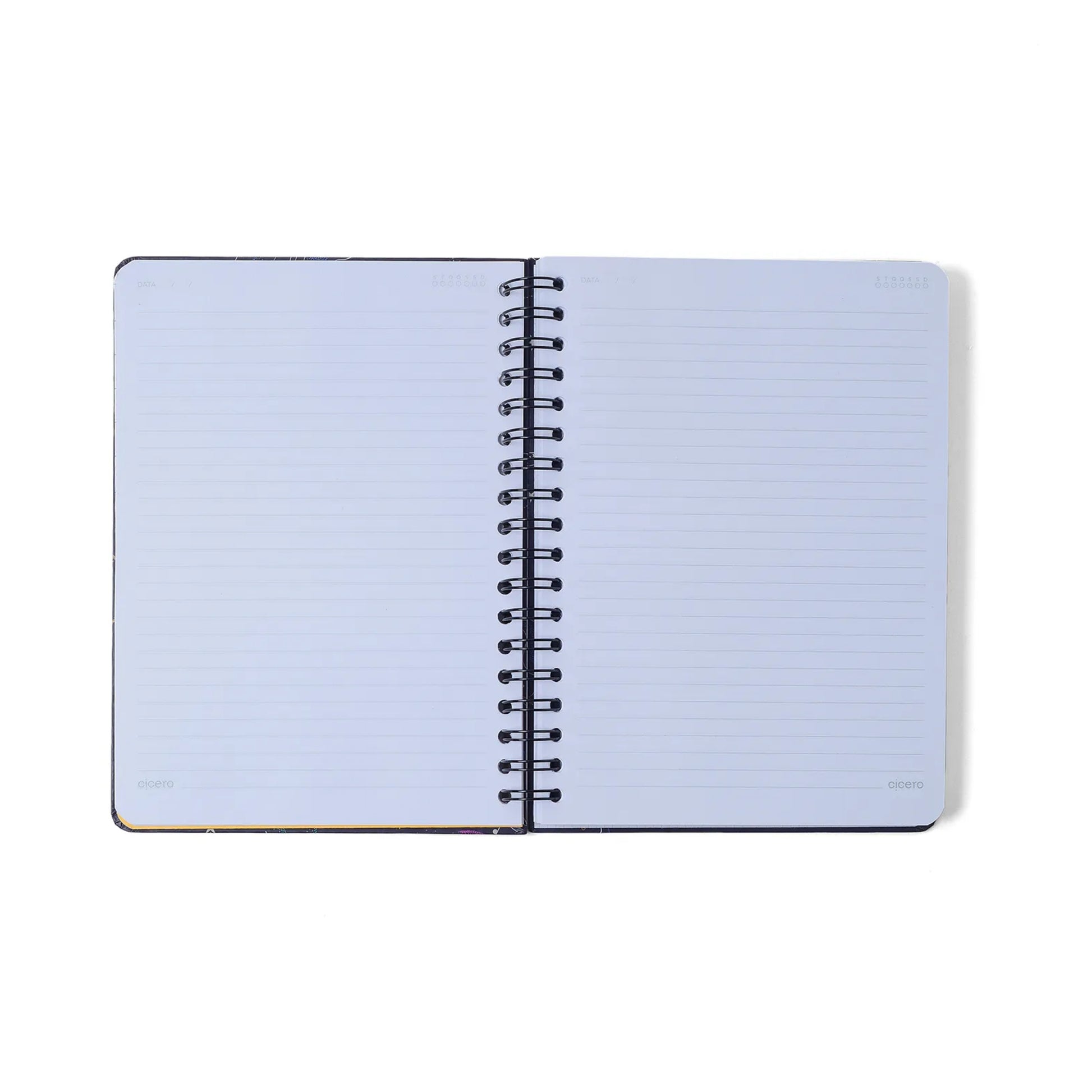 Caderno Espiral Colegial - Cícero -  Frutare - Pautado 17X24 - Pomelo - 10 Matérias 160 Fls - detalhe