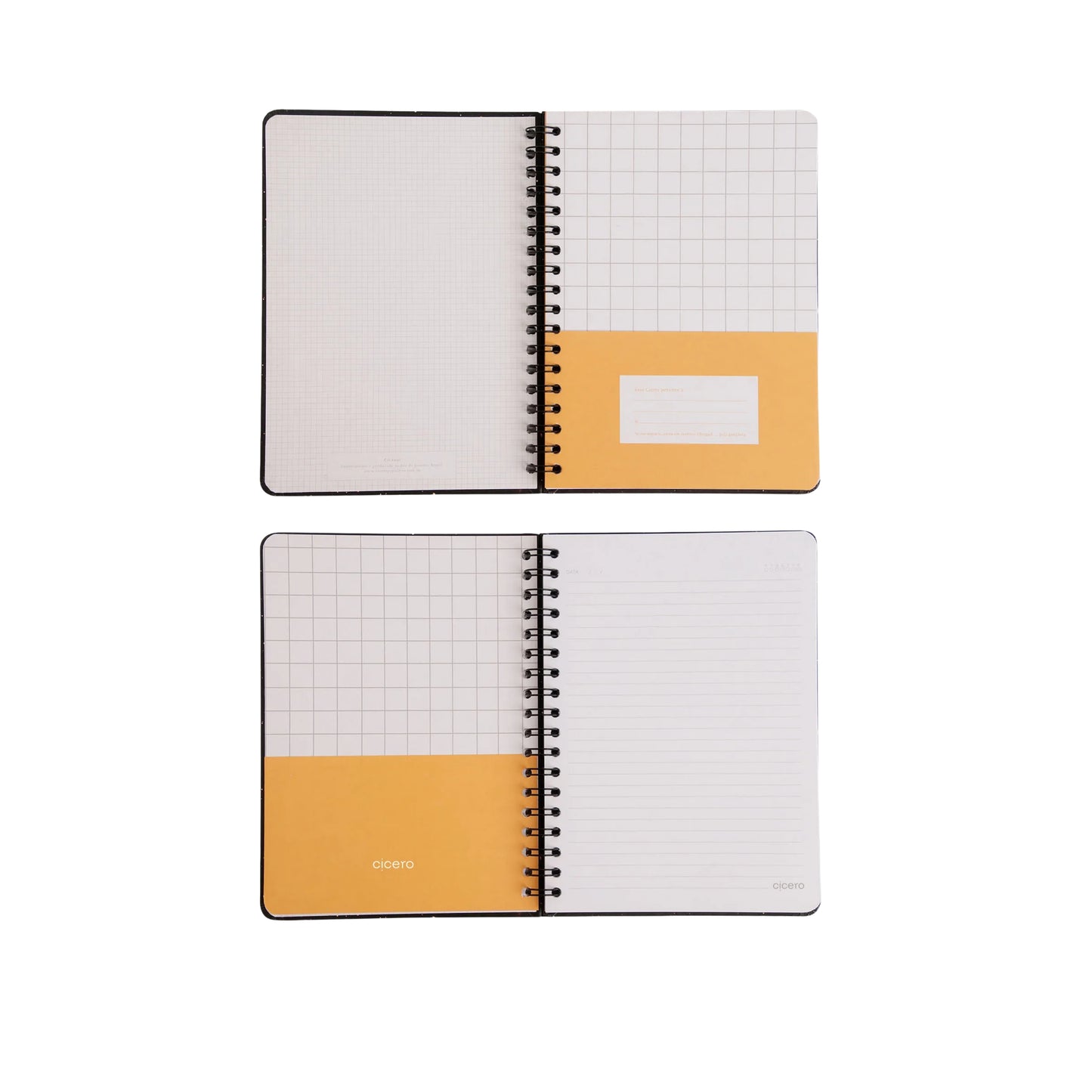 Caderno Colegial - Cicero - Libélulas - Pautado 17x24 - Off White - 1 Matéria 80 fls