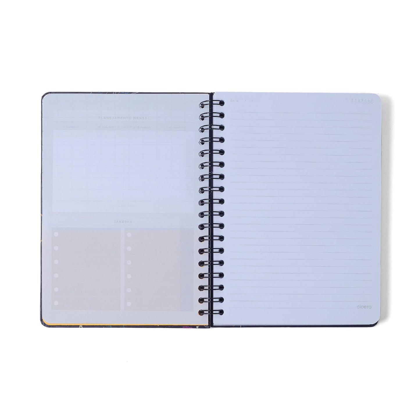 Caderno Espiral - Cícero - Veredas Gelo - Pautado 17x24 10 Matérias 160 Fls