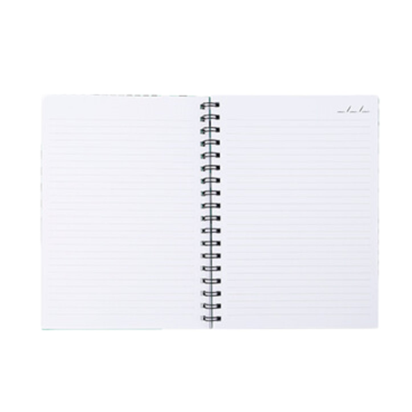 Caderno Colegial Argolado - Molin - Green Dots - Capa Dura - 80 Folhas