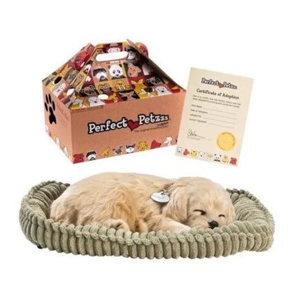 Pelúcia - Perfect Petzzz - Golden Retriever - frente