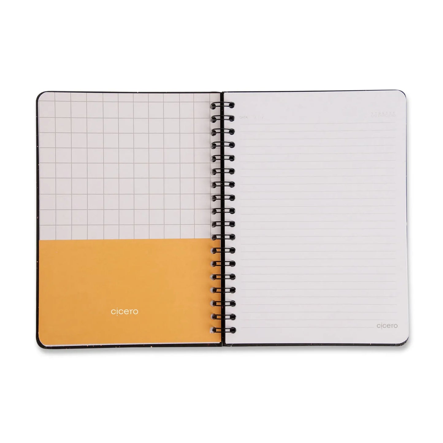 Caderno Colegial Espiral - Cicero & Fábula - Pautado - Frozão - 1 Matéria - 80 fls - detalhe