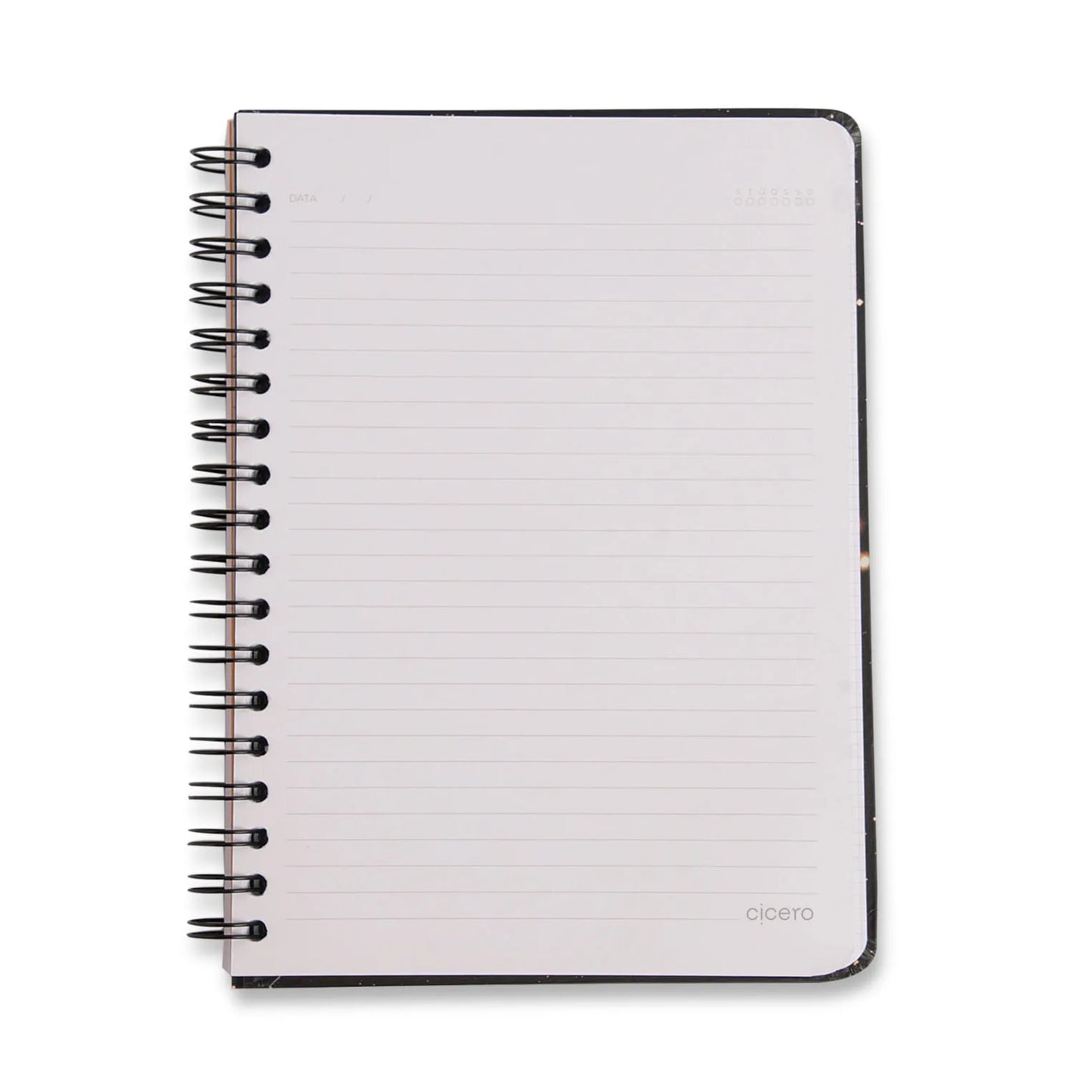 Caderno Colegial Espiral - Cicero & Fábula - Pautado - Frozão - 1 Matéria - 80 fls - lateral